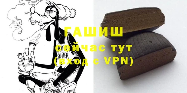 гашик Корсаков