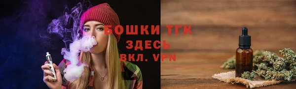 ПСИЛОЦИБИНОВЫЕ ГРИБЫ Костерёво