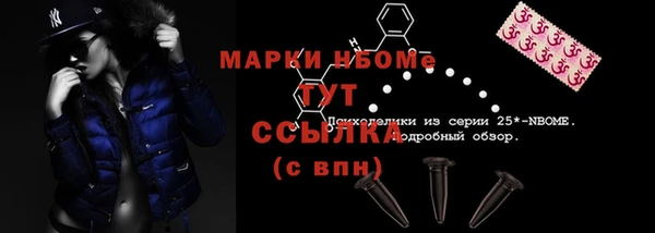 гашик Корсаков