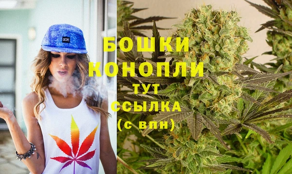 ПСИЛОЦИБИНОВЫЕ ГРИБЫ Костерёво