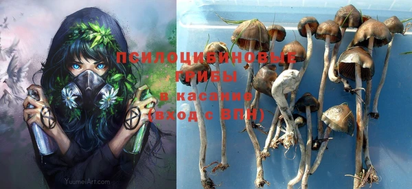 ПСИЛОЦИБИНОВЫЕ ГРИБЫ Костерёво