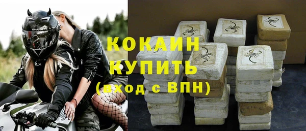гашик Корсаков