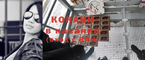 гашик Корсаков