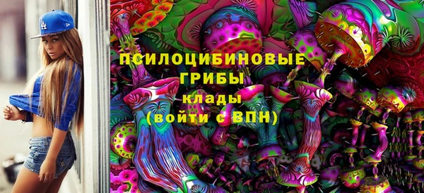 прущие крисы Коряжма