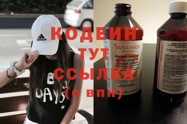 гашик Корсаков