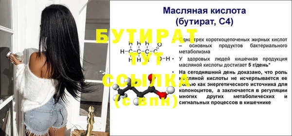 гашик Корсаков