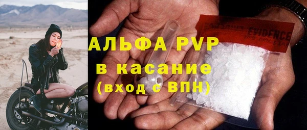 гашик Корсаков