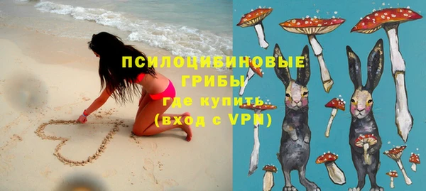 прущие крисы Коряжма