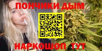 сатива Краснодар