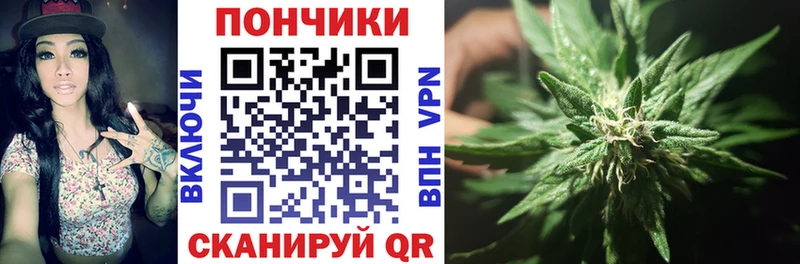 магазин продажи наркотиков  блэк спрут как зайти  МАРИХУАНА SATIVA & INDICA  Арзамас 